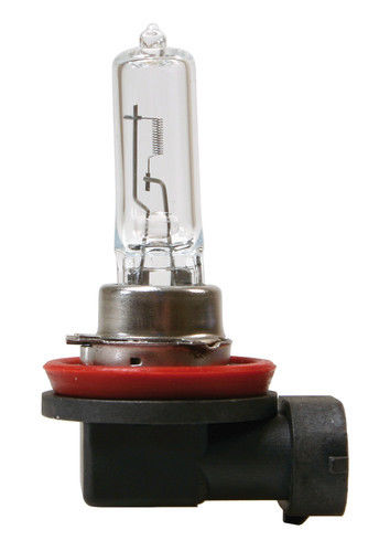 12V Lampada alogena - H9 - 65W - PGJ19-5 - 1 pz - D/Blister - - 8000692579503